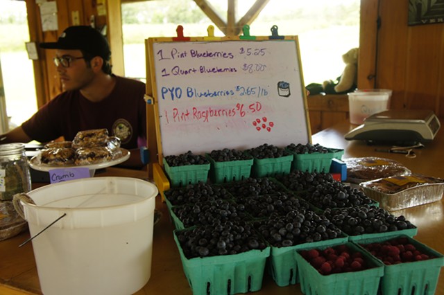 Berries for sale at Charlotte Berry Farm - STACEY BRANDT