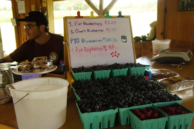 Seconds of Summer: PYOB at Charlotte Berry Farm