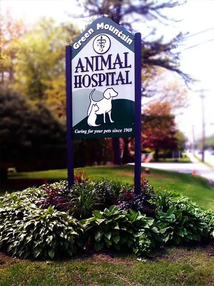 Best veterinarian/animal hospital