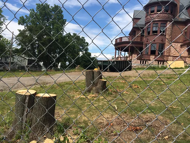 Residents Cry Foul Over Felled Trees at UVM Site