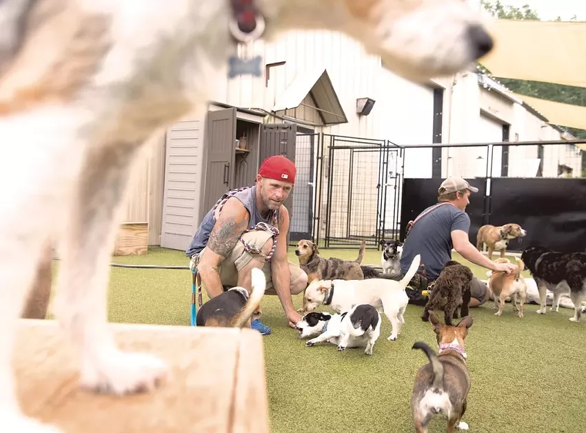 Best pet daycare
