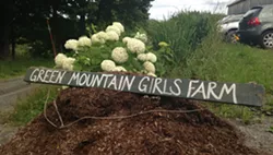 Seconds of Summer: Goat Appreciation at Green Mountain Girls Farm