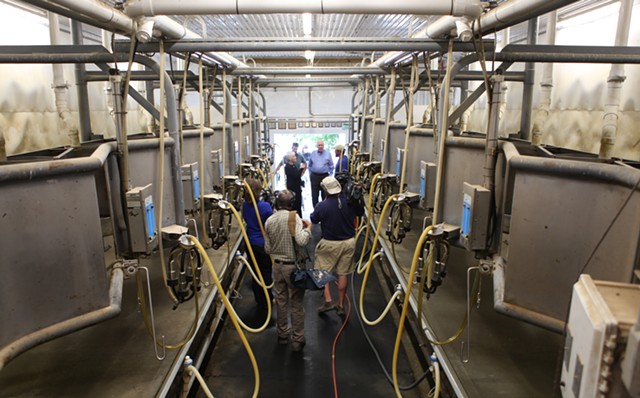 Leahy visits the milking parlor. - KEVIN MCCALLUM