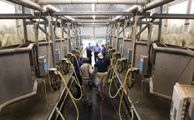 Leahy Vows to Close Organic Loopholes to Protect Small Dairy Farms