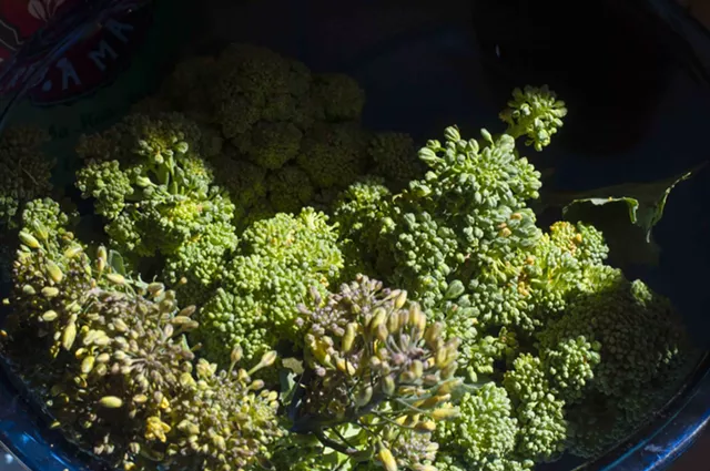 Farmers Market Kitchen: Broccoli-Cheddar Biscuit-Scones
