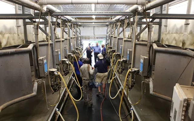 USDA Seeks to Close Organic Dairy Loophole