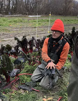 Volunteers Aid Intervale Farms With Emergency Flood Harvests