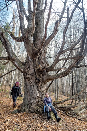 Meg Mass (left) and Anya Schwartz visiting the Grandmother Tree, a sacred space on the property - KAREN PIKE