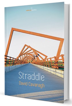 Straddle by David Cavanagh, Salmon Poetry, 66 pages. $21.