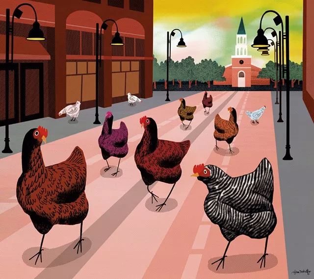 Amnesty May Be Coming for Queen City Chicken Owners
