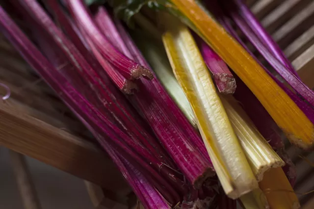 Farmers Market Kitchen: Swiss Chard Brittle