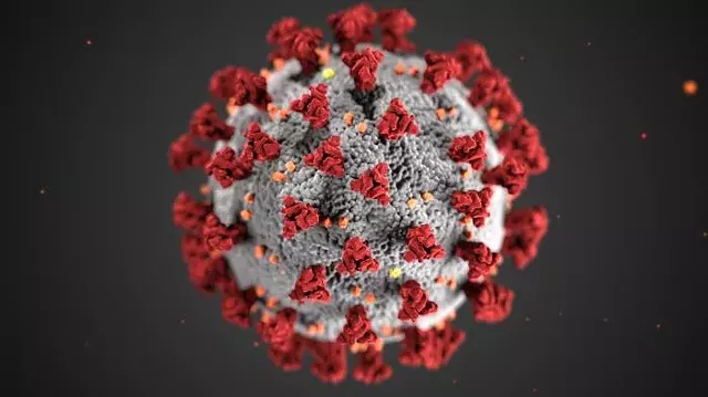 Vermont Announces Second 'Presumptive Positive' Coronavirus Case