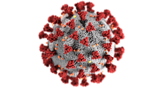 Have You Sought Coronavirus Guidance? Tell Us What You've Heard