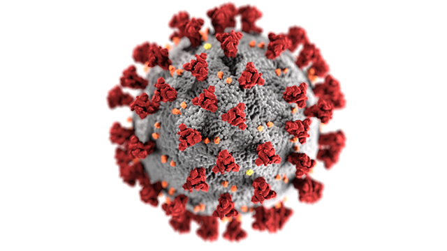 A model of a coronavirus like the one that causes COVID-19 - CENTERS FOR DISEASE CONTROL AND PREVENTION