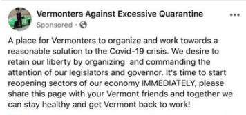 A Small Lockdown Protest Features Sweeping Conspiracy Theories (2)