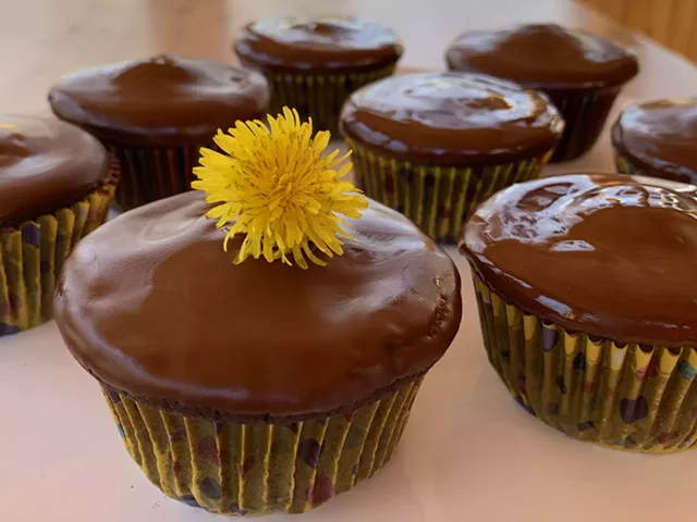 Home on the Range: Magical Cocoabean Cupcakes