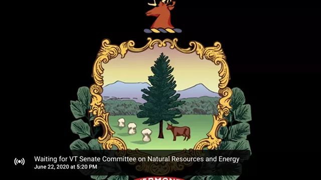 Vermont Senate to Change Remote Meeting Policy After More Glitches