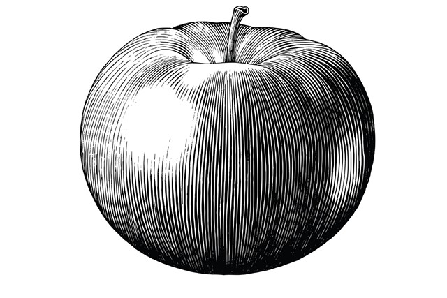 Macintosh apple - CHANNARONG PHERNGJANDA | DREAMSTIME.COM