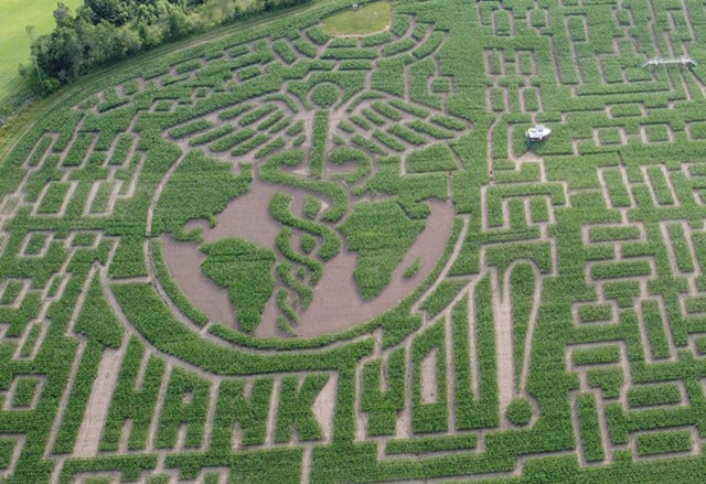 Great Vermont Corn Maze - COURTESY OF RILEY PETERSON