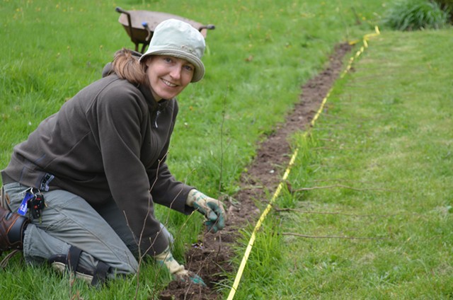 Silvia Jope planting a bare root hornbeam hedge - COURTESY OF SILVIA JOPE