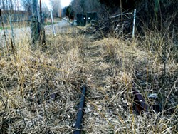 Abandoned rail ties - SADIE WILLIAMS