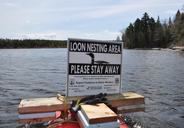 Warning signs on Big Averill Lake in Norton - COURTESY OF BECKY SCOTT