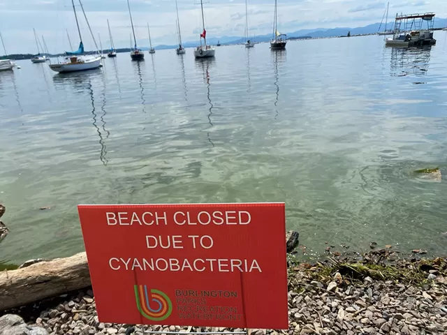 An Extensive Blue-Green Algae Bloom Closes Beaches in Burlington (2)