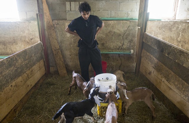 Yam Tiwari feeds baby goats - JAMES BUCK