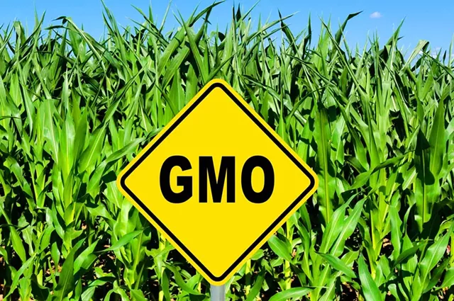 Proposed National GMO Labeling Standards Would Nix Vermont Law