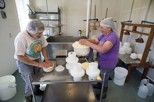 Meet Kate Turcotte, Head Cheesemaker at Shelburne Farms - UVM Food Feed