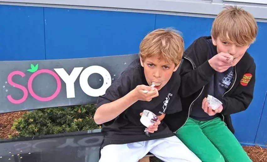 Best frozen yogurt