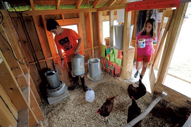 Twins Jordan and Taylor Parker-Martin, 10, feed the chickens - JEB WALLACE BRODEUR