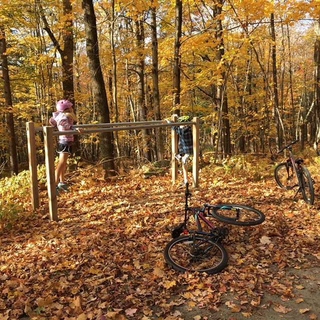 Dillon (left) and Harper play on parallel bars in the woods of Trapp Family Lodge - COURTESY OF SARAH TUFF DUNN