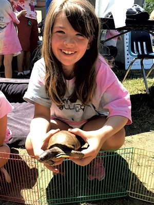 Taking care of box turtle Carmen at Camp Paw Paw - COURTESY OF CHITTENDEN COUNTY HUMANE SOCIETY