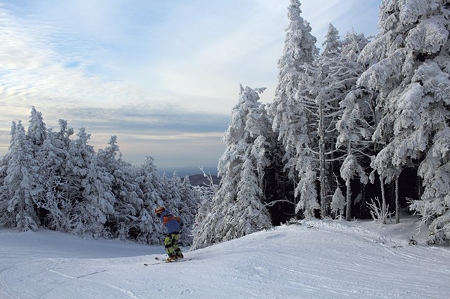 Heather's son Jesse skiing in a montane spruce-fir forest at Bolton Valley - HEATHER FITZGERALD