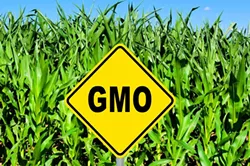 Advocates Consider Suing to Restore Vermont GMO Law