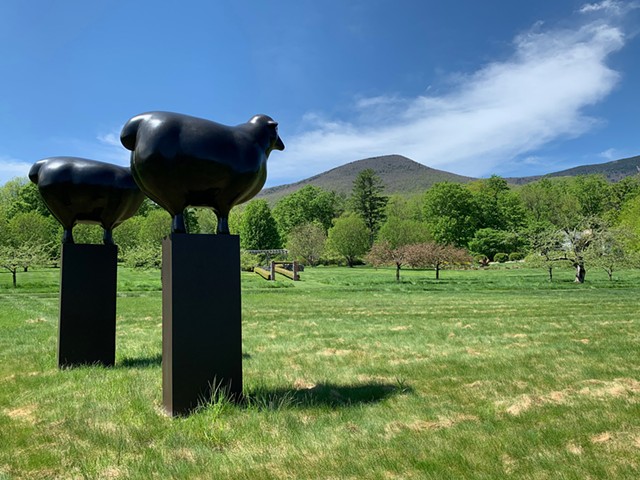 "Large Sheep Pair" by Peter Woytuk - AMY LILLY