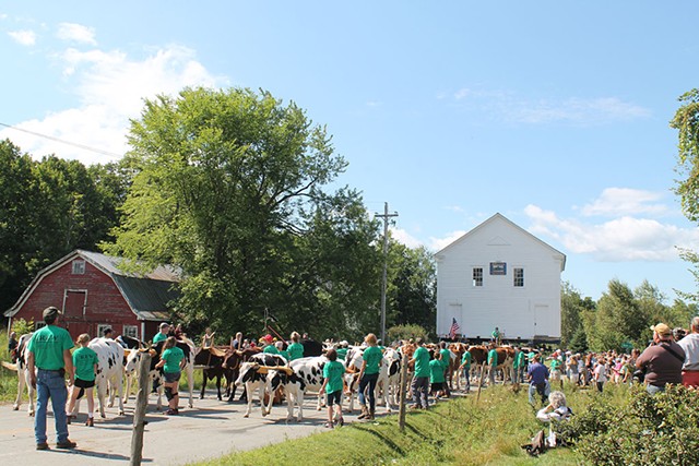 Oxen pull the 1823 schoolhouse - JULIA SHIPLEY