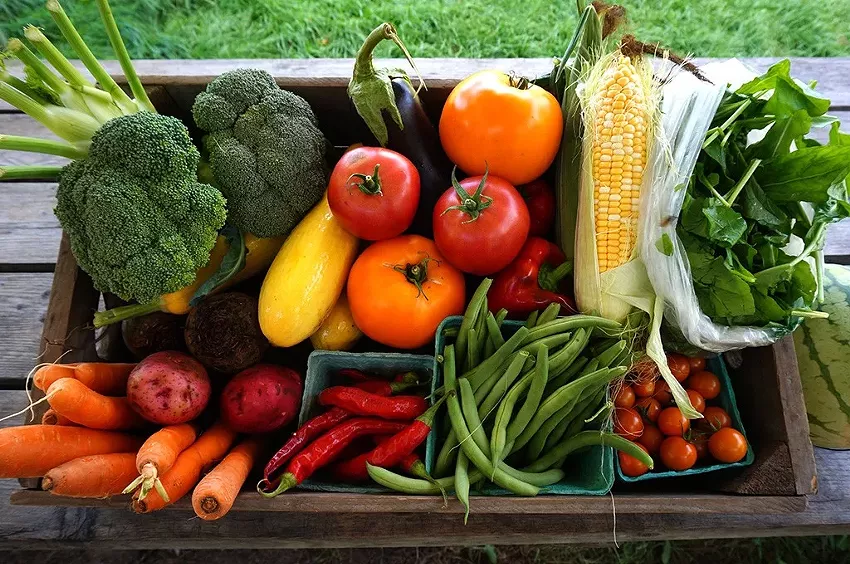 Best CSA
