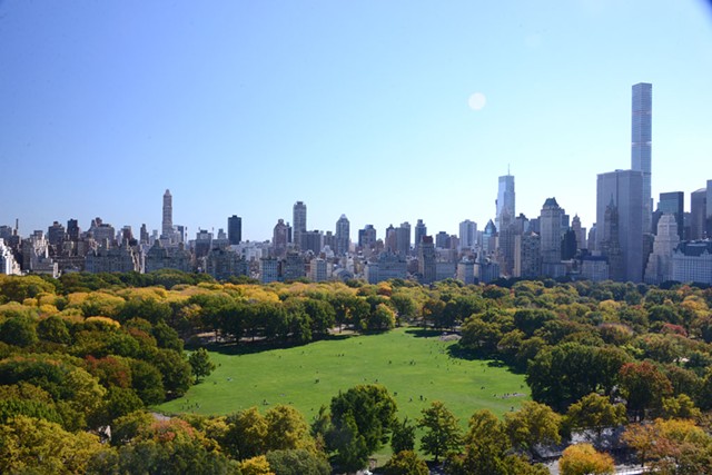 Sheep Meadow in New York City's Central Park - COURTESY OF CENTRAL PARK CONSERVANCY