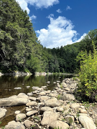 Jamaica State Park - JORDAN BARRY ©️ SEVEN DAYS