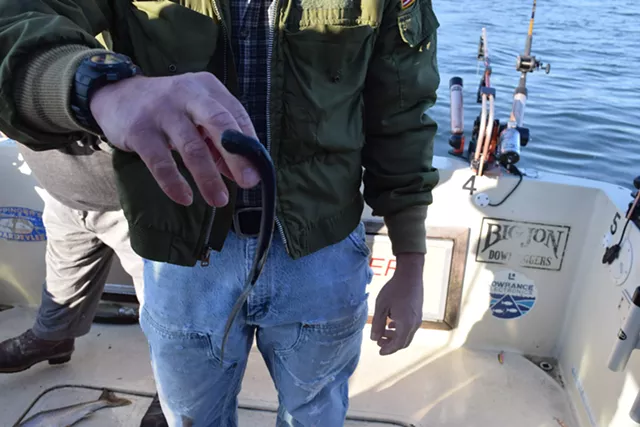 Officials Agree to Treat for Lamprey, Filter Drinking Water