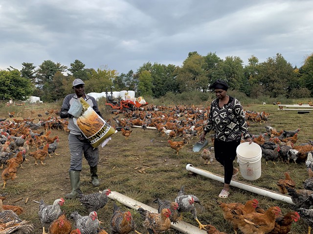 Th&eacute;og&egrave;ne Mahoro and Hyacinthe Mahoro Ayingeneye feeding their chickens - MELISSA PASANEN