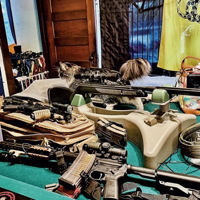 Guns and a cat in Rob Brumm's living room - COURTESY OF JEFF SHARLET