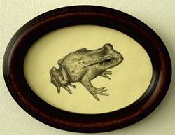 "New Frog" - COURTESY OF BRIAN COLLIER
