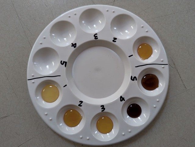 A painter's palette of honey for sampling - RACHEL MULLIS