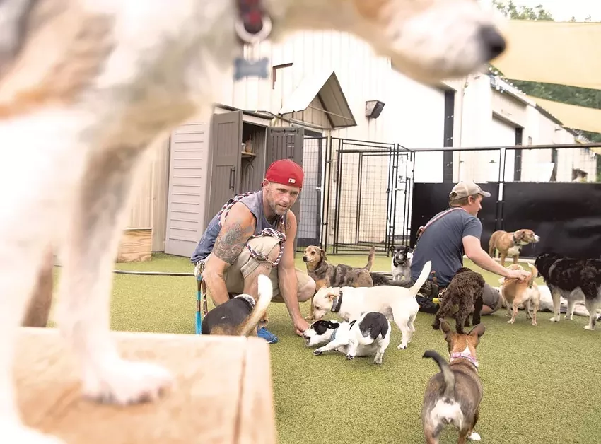 Best pet daycare
