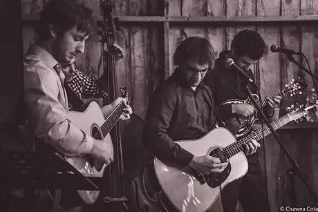 Best bluegrass artist or group