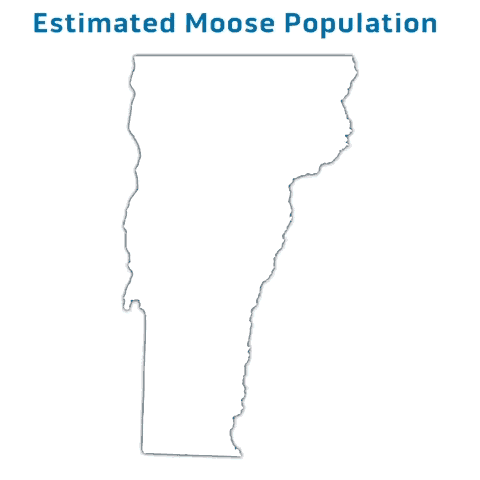 Numbers reflect the moose population after each year's hunting season. Source: Vermont Fish & Wildlife Department - BROOKE BOUSQUET | BRYAN PARMELEE