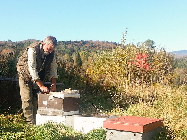 Rick Drutchas inspecting colonies of honeybees in Worcester - COURTESY